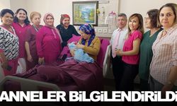 Manisa’da ‘Emzirme Haftası’ etkinliği