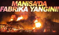 Manisa'da fabrika yangını çıktı! Sıçramaya başladı!