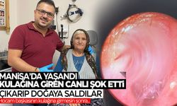 Manisa'da şok olay... Yaşlı kadın neye uğradığını şaşırdı! Yuva yapmış...