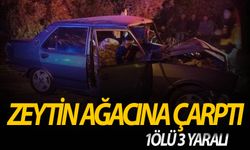 Manisa'da zeytin ağacına çarpan otomobilde 1 kişi öldü, 3 kişi yaralandı
