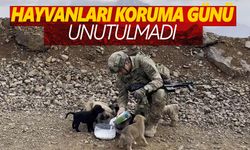 Milli Savunma Bakanlığı Hayvanları Koruma Günü'nü kutladı