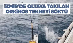 İzmir’de oltaya takılan orkinos 100 bin liralık oltayı götürdü  