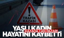 Otomobilin çarptığı yaşlı kadın hayatını kaybetti  