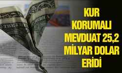 KKM hesaplarındaki birikim 2,92 trilyon liraya geriledi