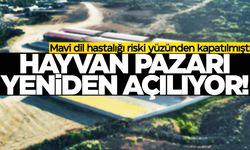 Mavi dil riski yüzünden kapatılmıştı… İlçenin hayvan pazarı yeniden açılıyor!