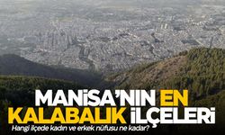 Manisa'nın en kalabalık ilçeleri ve özellikleri