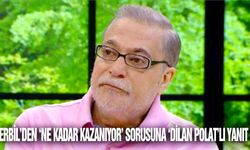 Mehmet Ali Erbil TikTok'tan ne kadar kazanıyor? 'Dilan Polat'lı yanıt