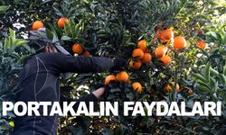 Portakalın faydaları nelerdir?