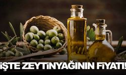 Tariş Zeytin ve Zeytinyağı Birliği, alım fiyatını açıkladı