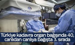 Türkiye'nin organ bağışı karnesi belli oldu