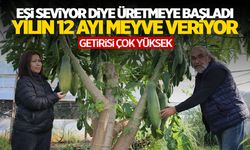 Eşi için üretti... Şimdi 3 ülkeye satıyor! Her ay meyve veriyor!