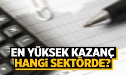 Bu 2 sektör çok para kazandırıyor!