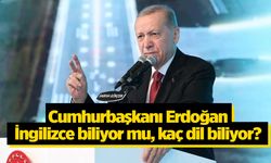 Recep Tayyip Erdoğan yabancı dil biliyor mu? Cumhurbaşkanı Erdoğan İngilizce biliyor mu, hangi dilleri biliyor?