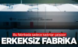 Ege’nin o ilinde erkeksiz fabrika! Dünyada örneği az…