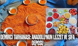 Demirci Tarhanası: Anadolu'nun Lezzet ve Şifa Deposu