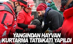 İzmir'de yangından hayvan kurtarma tatbikatı yapıldı