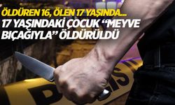 İzmir’deki “küfürleşme” kavgası... Ölen 17yaşında, öldüren ise 16...
