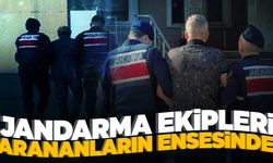 Manisa jandarması aranan şahısları enseledi!