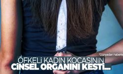 Aldatan kocasının cinsel organını kesti! Yetmedi...