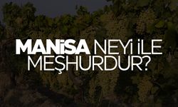 Manisa neyi ile meşhurdur?