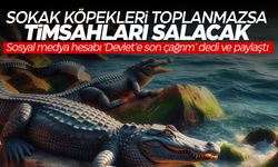 'Devlet'e son çağrım' dedi ve paylaştı... Timsahları salacak