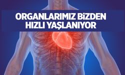 Yapay zeka ortaya çıkardı... Organlarımız bizden daha hızlı yaşlanıyor