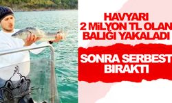Yer: Türkiye... Havyarı 2 milyon TL'lik balığı denize geri bıraktı