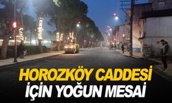 Büyükşehir Horozköy prestij caddesi için seferber oldu