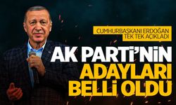 Cumhurbaşkanı Erdoğan, AK Parti'nin belediye başkan adaylarını açıkladı!