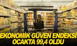 Ekonomik güven endeksi, ocakta aylık 3,1 artışla 99,4 değerini aldı