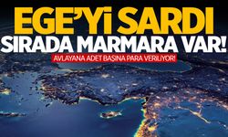 Ege’den Marmara’ya geçiyorlar! İstilacı tür yayılıyor… İşte detaylar!