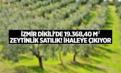 İzmir Dikili'de 19.368,40 m² zeytinlik satılık! İhaleye çıkıyor