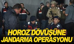 İzmir’de horoz dövüşü yaptıranlara jandarmadan operasyon
