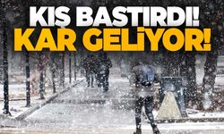 Kış bastırdı! İstanbul'a ne zaman kar yağacak? Uzmanlar tarih verdi!