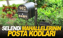 Manisa Selendi ilçesi tüm mahalleleri posta kodları