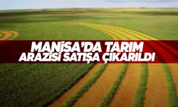 Manisa’da tarım arazisi satışa çıkarıldı