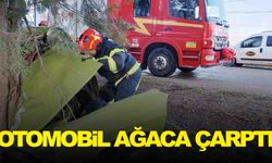 Denizli’de kaza: Otomobil ağaca çarptı