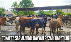 Tokat’ta şap alarmı: Hayvan pazarı kapatıldı