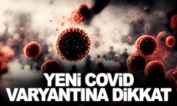 Uzmanlardan Covid-19 yeni varyantı için bağışıklık uyarısı