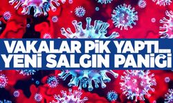 Yeni salgın yayılıyor... Virüs Türkiye sınırına dayandı!
