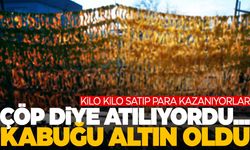 Çöp diye atılıyordu… Kabuğu altın oldu!