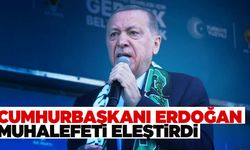 Cumhurbaşkanı Erdoğan: İşi gücü bırakmış kendi içinde kavga ediyor