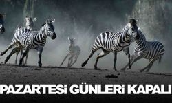 İzmir’deki doğal yaşam parkı pazartesi günler kapalı olacak!