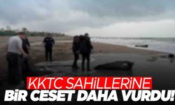 Antalya ve Muğla'nın ardından şimdi de KKTC kıyıları... Sahiller mezarlığa döndü!
