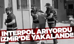 INTERPOL tarafından aranıyordu… Rus dolandırıcı İzmir’de yakalandı
