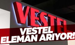 Vestel eleman arıyor!