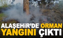 Alaşehir’de orman yangını!