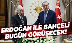 Cumhurbaşkanı Erdoğan, MHP lideri Bahçeli ile görüşecek!