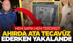 Dünya bu olayı konuşuyor… Sapık PKK’lı ata tecavüz ederken yakalandı!