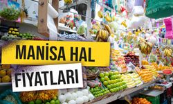 Manisa Hal Fiyatları: 2024 Yılında Toptan Meyve ve Sebze Fiyatları Ne Kadar?